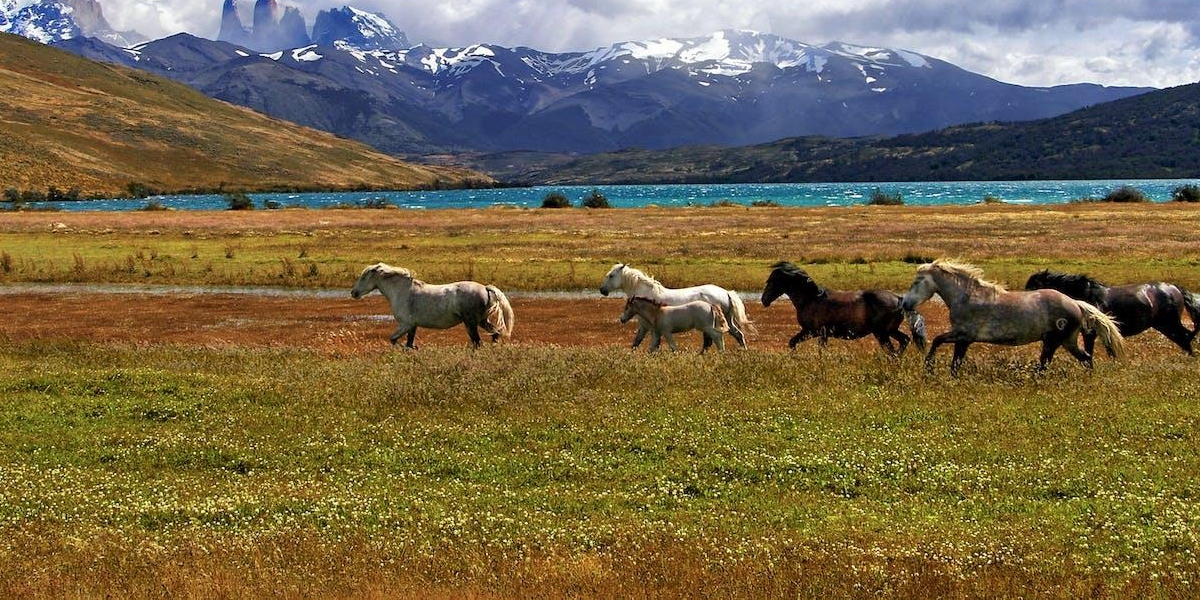 The Art of Luxury Travel: Where Comfort Meets Adventure