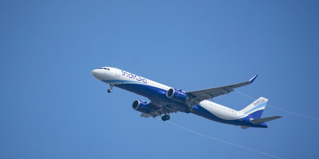 including flight booking, web check-in, baggage allowance, boarding pass, airport check-in, travel requirements, and essential tips for a smooth journey with IndiGo.
